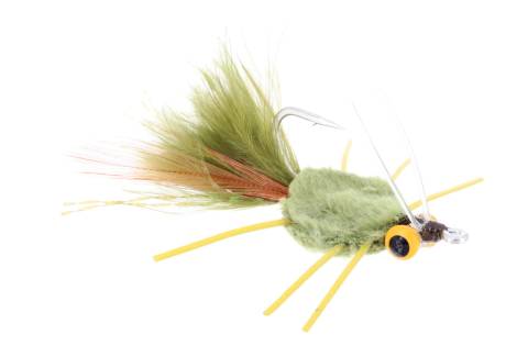Raghead Crab - Olive with Yellow Eyes